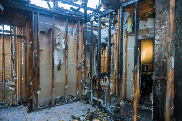 Professional Fire Damage Removal technician working in Berlin, OH
